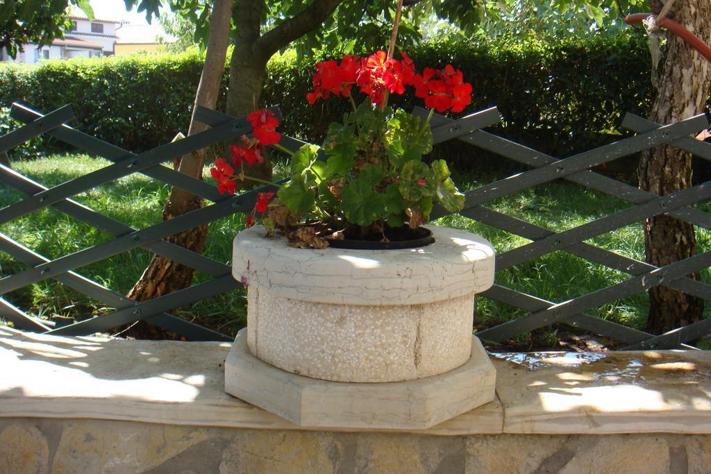 Apartments Olea Porec Room photo